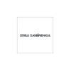 Zorlu Gayrimenkul logosu