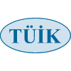 Turkish Statistical Institute logosu