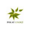 Polat Enerji San. ve Tic. A.Ş. logosu