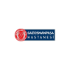 Yeni Yuzyil Universitesi Ozel Gaziosmanpasa Hastanesi logosu